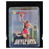 Michael Jordan skylights