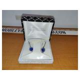 Blue Ear rings