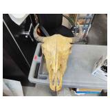Bull skull