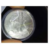 2015 American silver eagle
