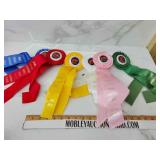 Indiana University horse show ribbons