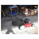 Briggs & Stratton Gas Yard Machine