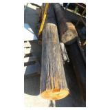 Cut Off Telephone Pole Pieces Cut Off Telephone Pole Pieces