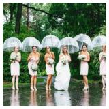 NEW! Clear Wedding Umbrellas. Set of 8.