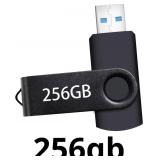 USB Flash Drive 256GB, Portable Thumb Drive: Memor