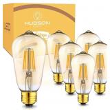 Vintage Incandescent LED 6W Edison Light Bulbs (6