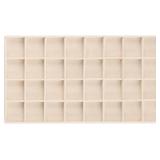 30 Slots Tray Earring Insert