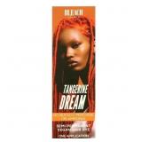 Lot of 2: TANGERINE DREAM SEMI PERM COLOR