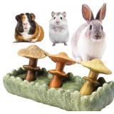 TEEWY - '4 Edible Toys for Small Animals, Chews fo