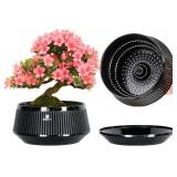 8 Inch Bonsai Pots with Drainage Tray and Excellen