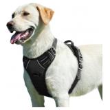 Eagloo Dog Harness No Pull, Walking Pet Harness wi