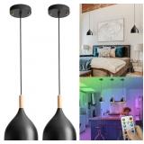 $124 Battery Operated Hanging Light with Remote,Ki