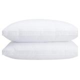 Set of 2 Standard Size Down Pillows - Goose Feathe