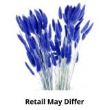 MECCANIXITY 120pcs Natural Rabbit Bunny Tail Dried