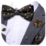 Dubulle Pre-tied Bow Ties Lapel Pin Set for Men Me