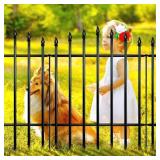 $126 Metal Garden Fence Panels 36' H x 11.6 Ft L,