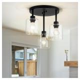 3-Light Hallway Light Fixture for Ceiling, Black G