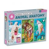 Mudpuppy Science Puzzle Set Multicolored 300 pc