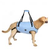 Coodeo Dog Lift Harness, Support & Recovery Sling,