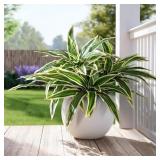 4 Pcs Artificial Greenery Stems Dracaena Faux Bran