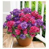 Artificial Geranium Fake Flowers for Outdoors Deco