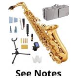 $350 STRICH Eb Alto Saxophone Brass Student Beginn