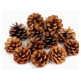 Natural Bulk Christmas Pine Cones for Home Party D