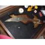 EVERY THURSDAY NIGHT AUCTION 6:00 PM