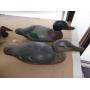 EVERY MONDAY NIGHT AUCTION 6:00 PM