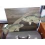 EVERY MONDAY NIGHT AUCTION 6:00 PM