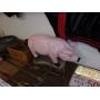 EVERY MONDAY NIGHT AUCTION 6:00 PM