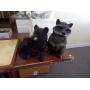EVERY THURSDAY NIGHT AUCTION 6:00 PM