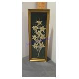 vintage herbarium frame pressed Austrian