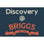 JUNE 25 Discovery At Briggs Auction