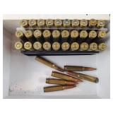 .308 Win Assorted Ammo