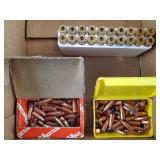.303 Savage Bullets & Spent Casings