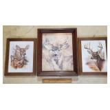 3ct Whitetail Deer Pictures