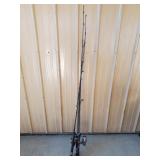 Fishing Poles w/ Reels