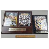 Pittsburgh Steelers/Pens Plaques