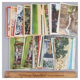 100ct Vintage Postcards