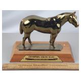 Champion Youth Mare Trophy Middletown NY Horse