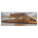 Coyote Mount - Board 46 & 1/4" L