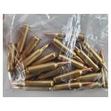 20 Rounds 22-250 Ammo