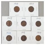 8ct 1909 Wheat Pennies