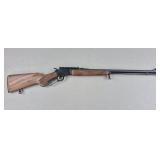 Marlin 22 SL & LR Golden 39AS Lever Action Rifle