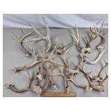 Antlers