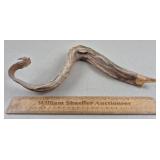 Freeze Dried Eel