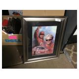 Framed photograph of Dale Earnhardt Jr.