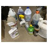 Box of cleaners and garden items