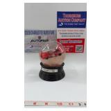 NASCAR #8 Snowglob